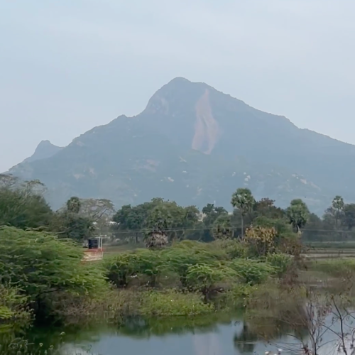 Screenshot 2025-07-19 at 15.00.23