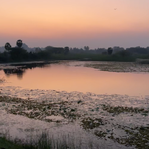 Screenshot 2025-07-19 at 15.07.46